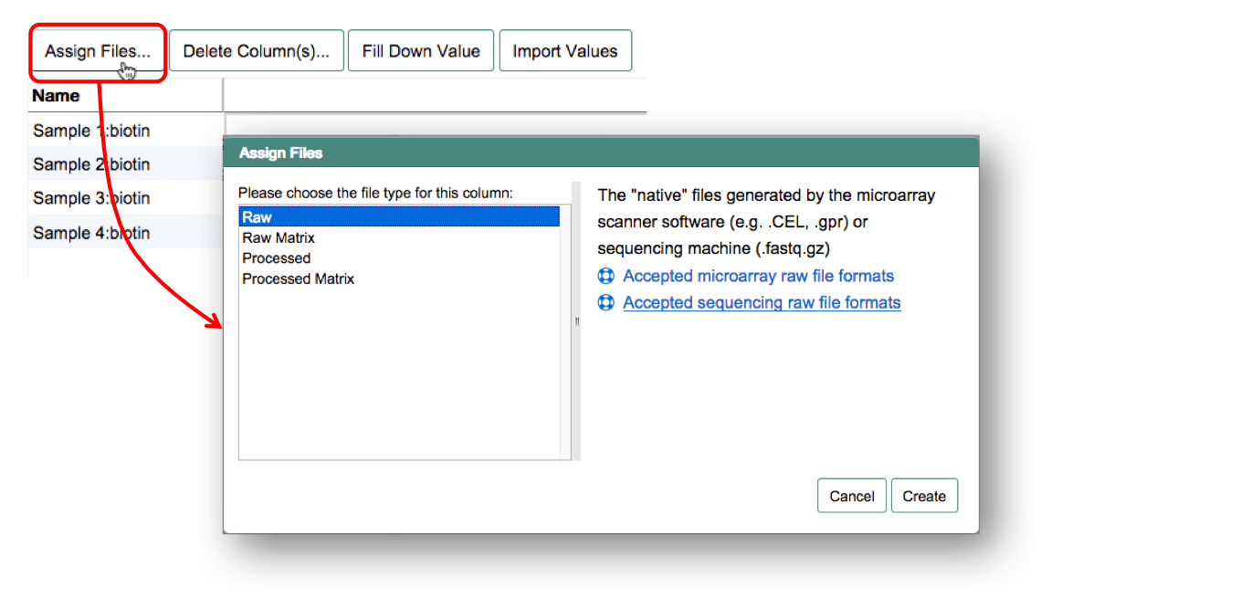 Click 'Assign Files' and choose the file category