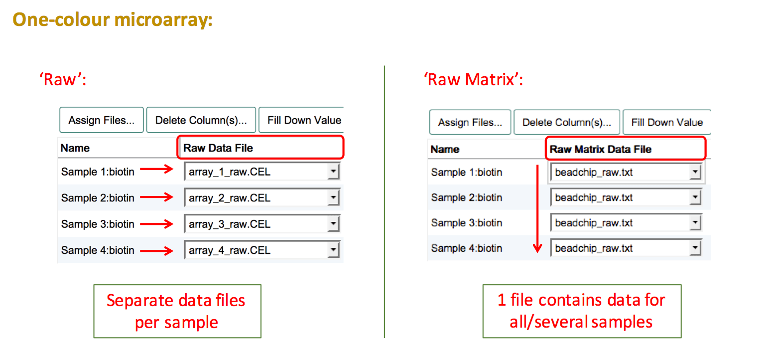 Raw file assigmnet for one-colour microarray experiment