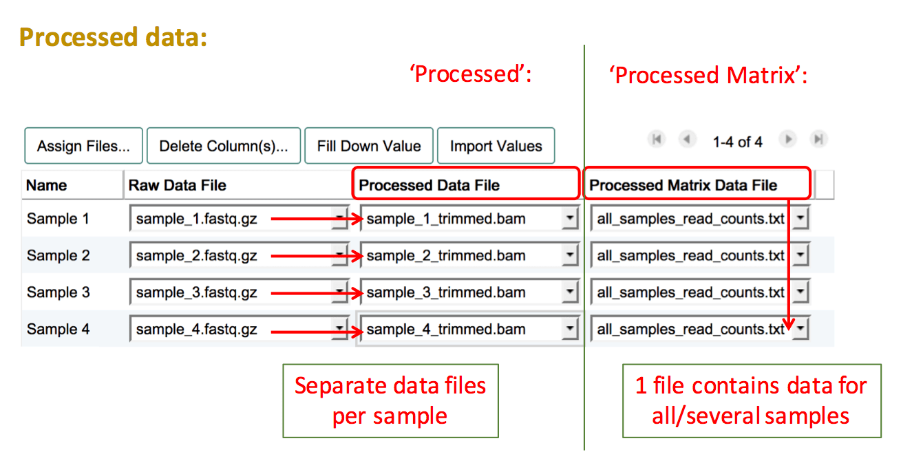 Processed file assignment example