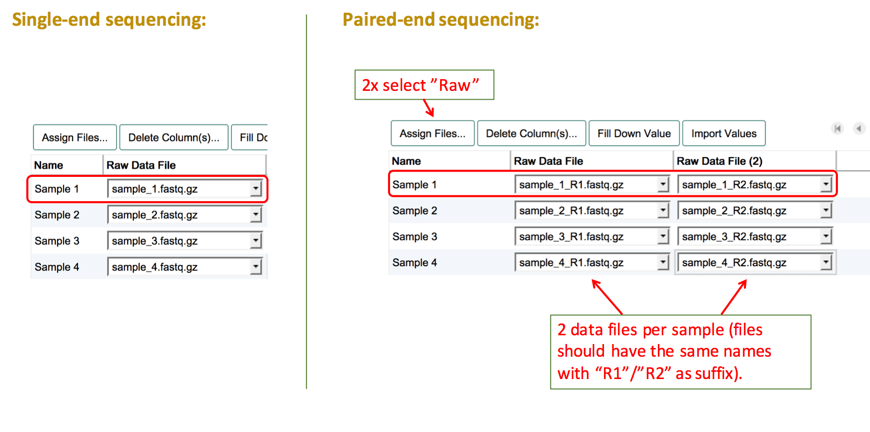 Raw file assignment for sequencing experiment