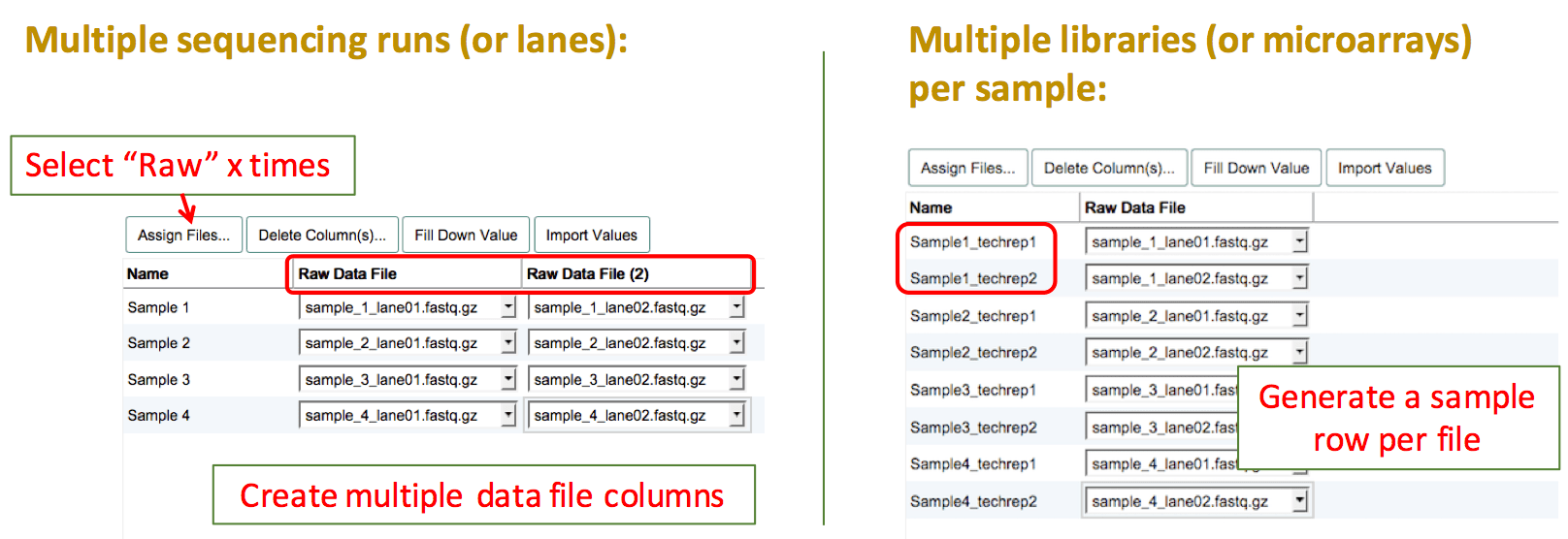 File assignment for technical replicates