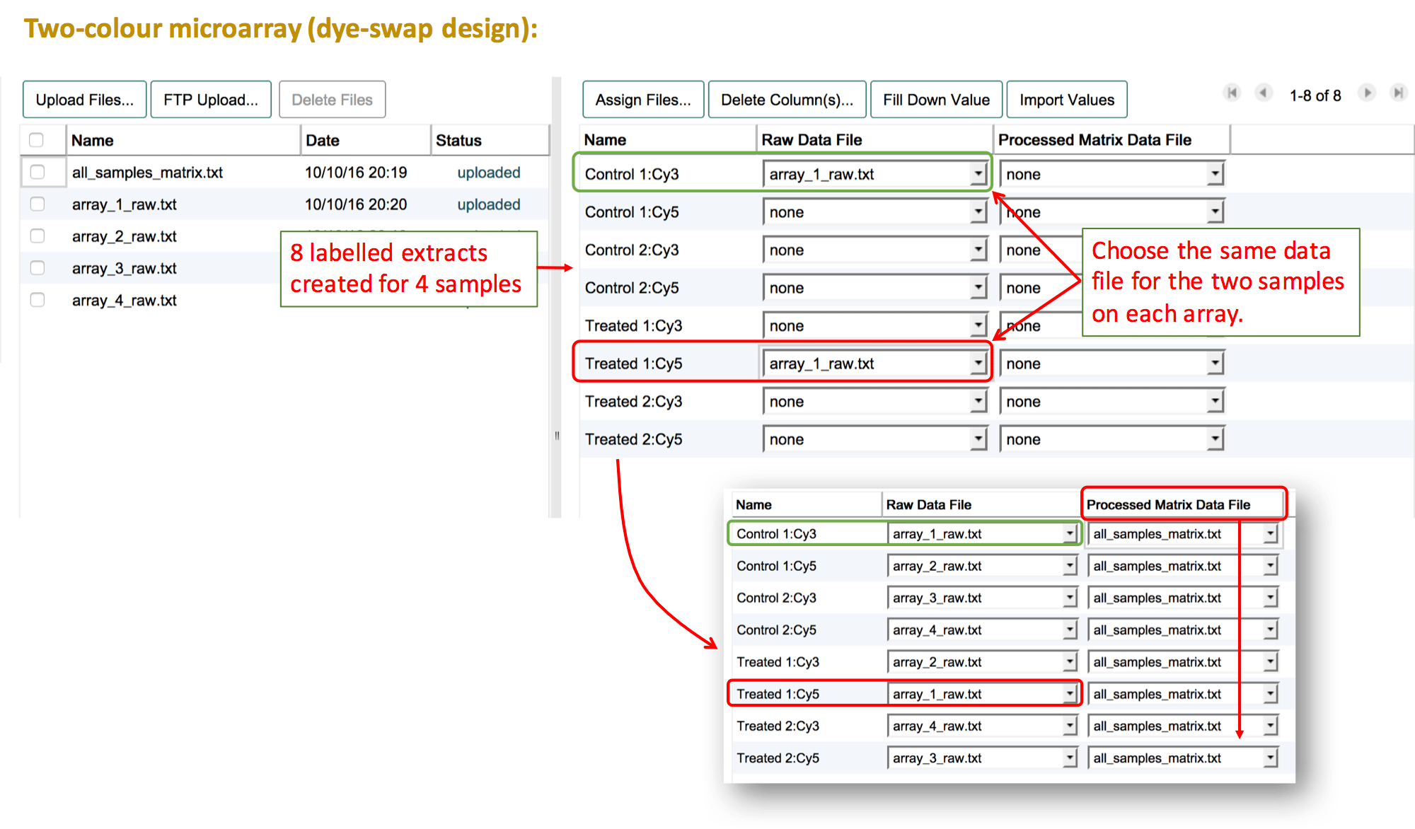 Raw file assigment for dye-swap design two-colour microarray experiment