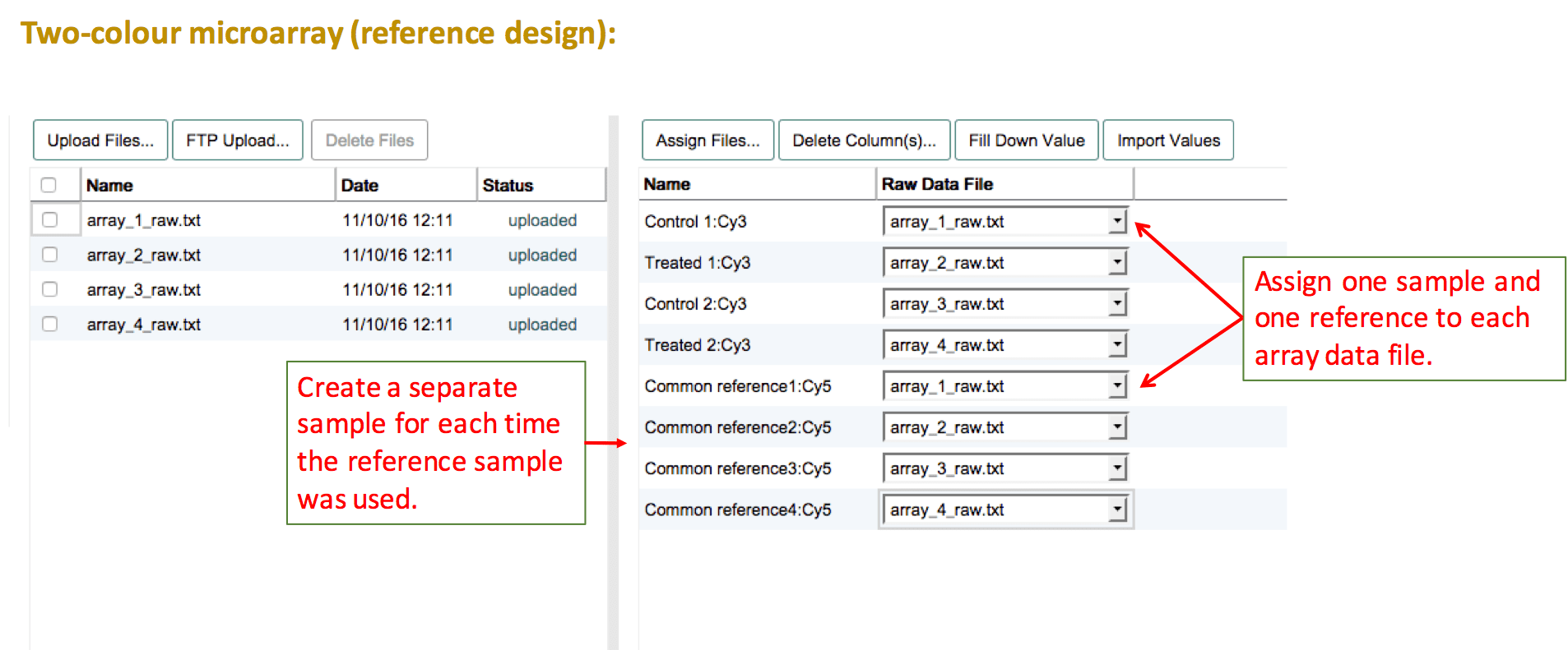 Raw file assigment for reference design two-colour microarray experiment