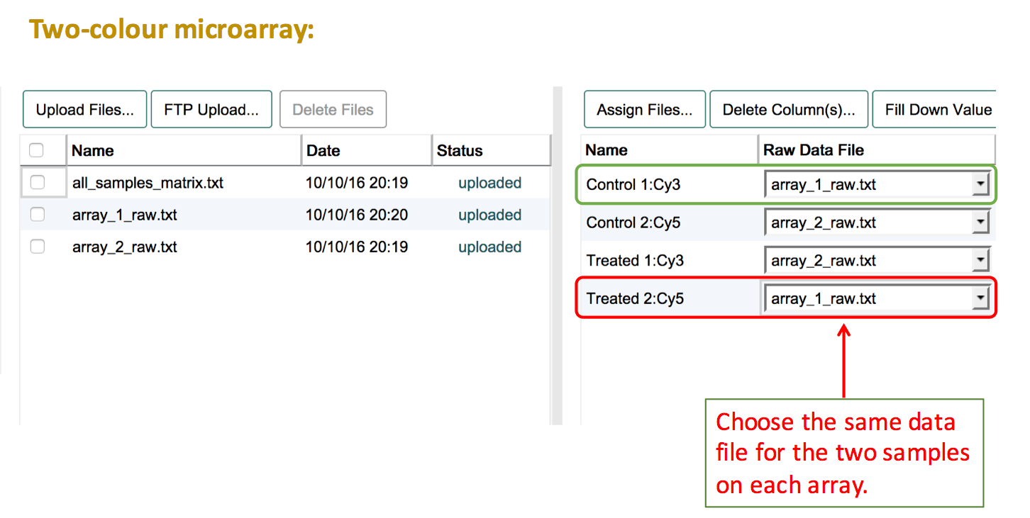 Raw file assigment for simple two-colour microarray experiment