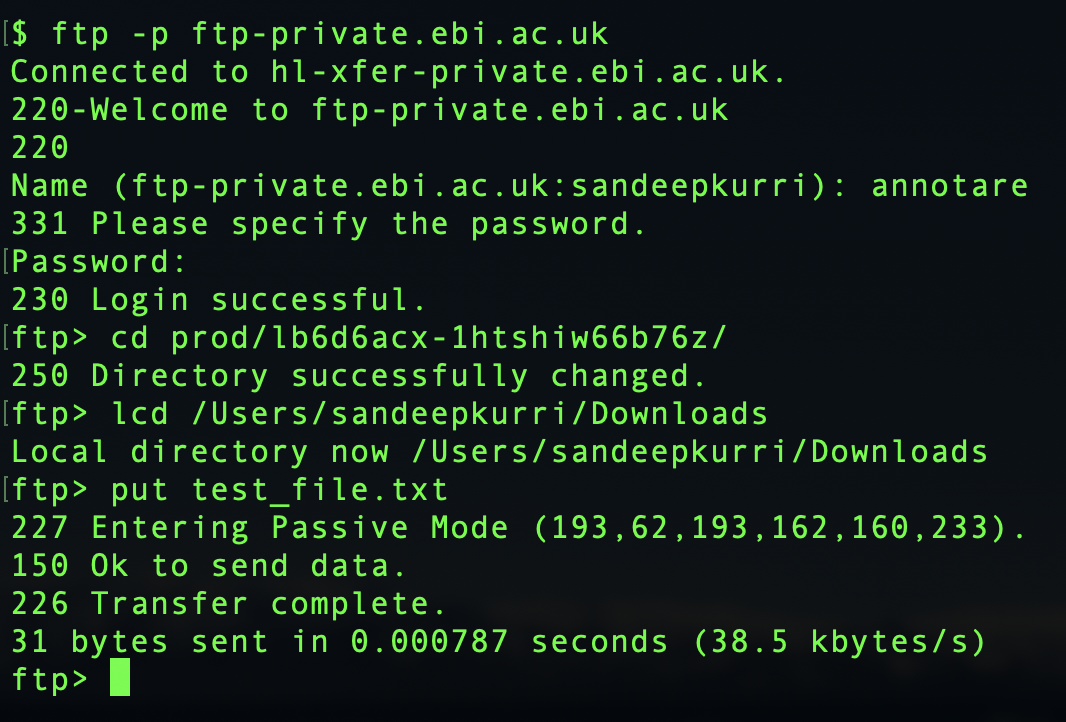 Terminal session for FTP upload