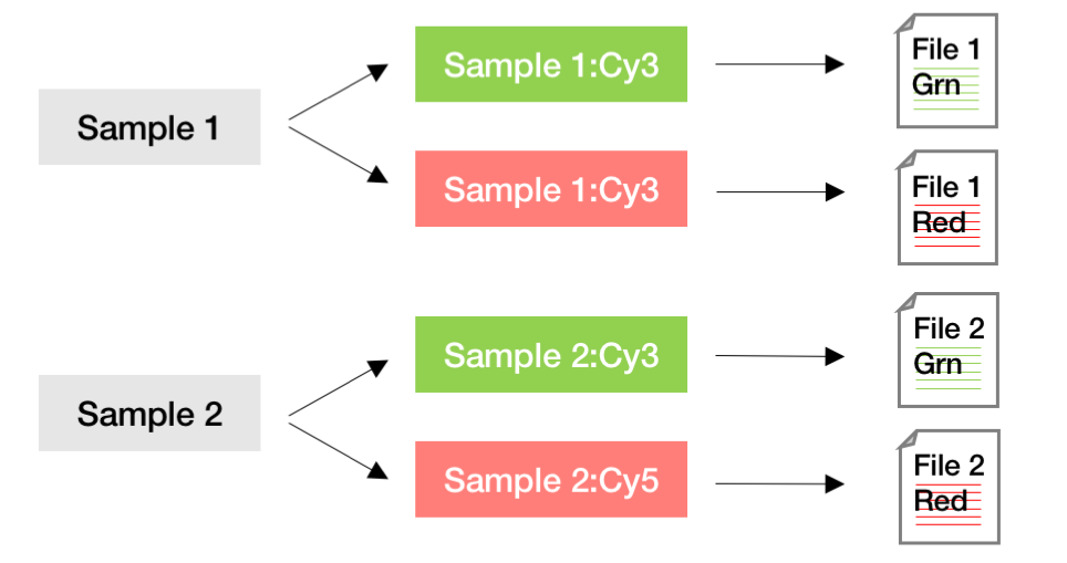methylation_template