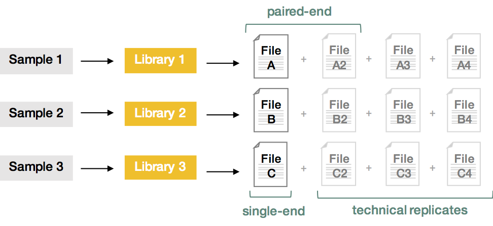 sequencing_template