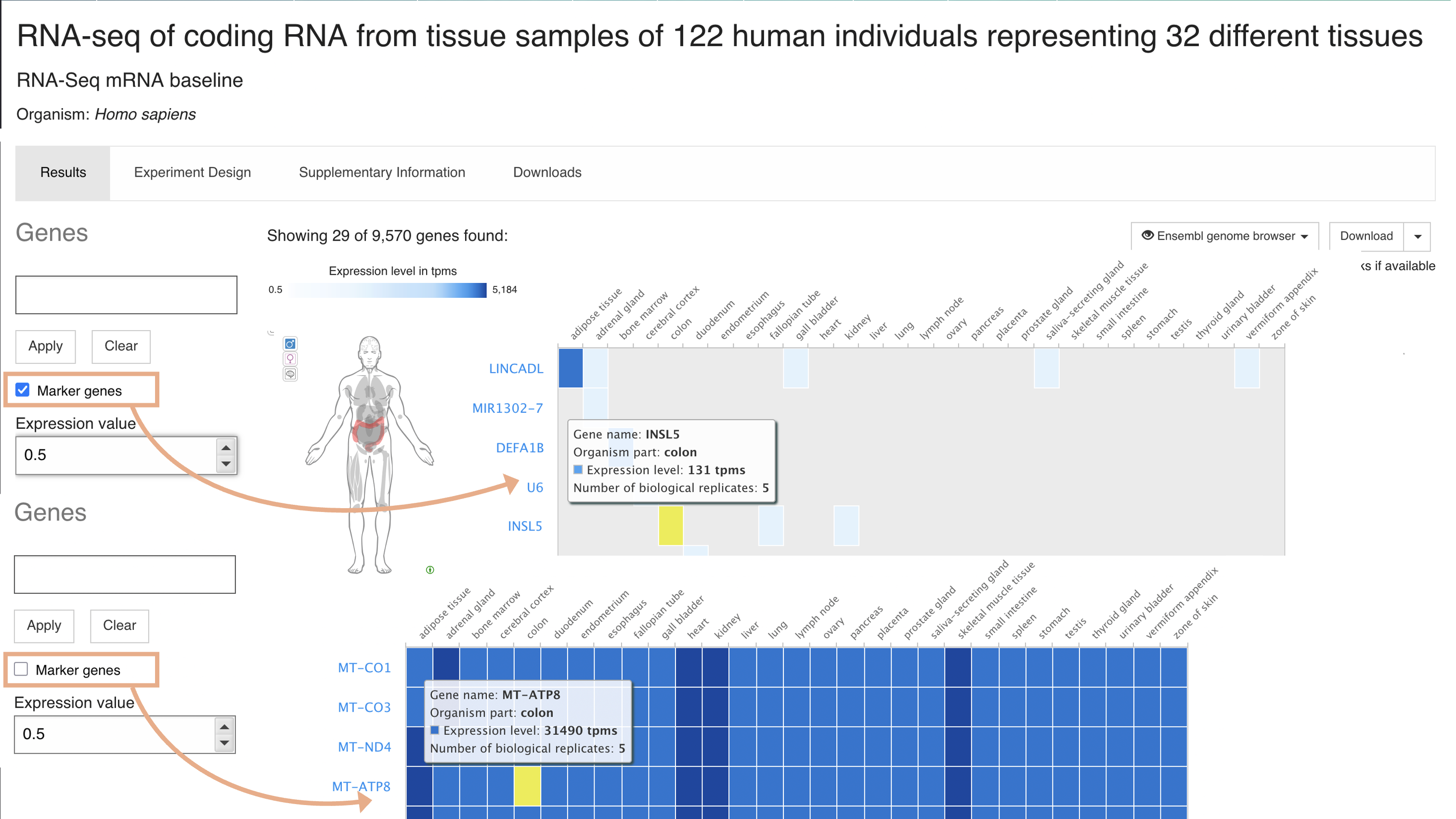 most specific feature