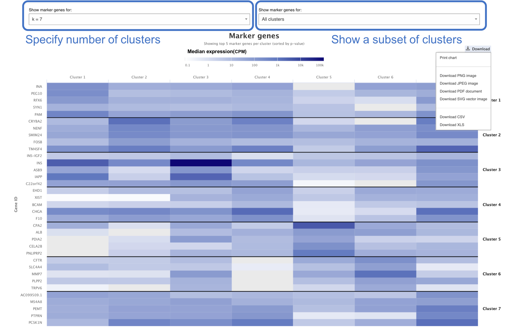 Marker Gene heatmap