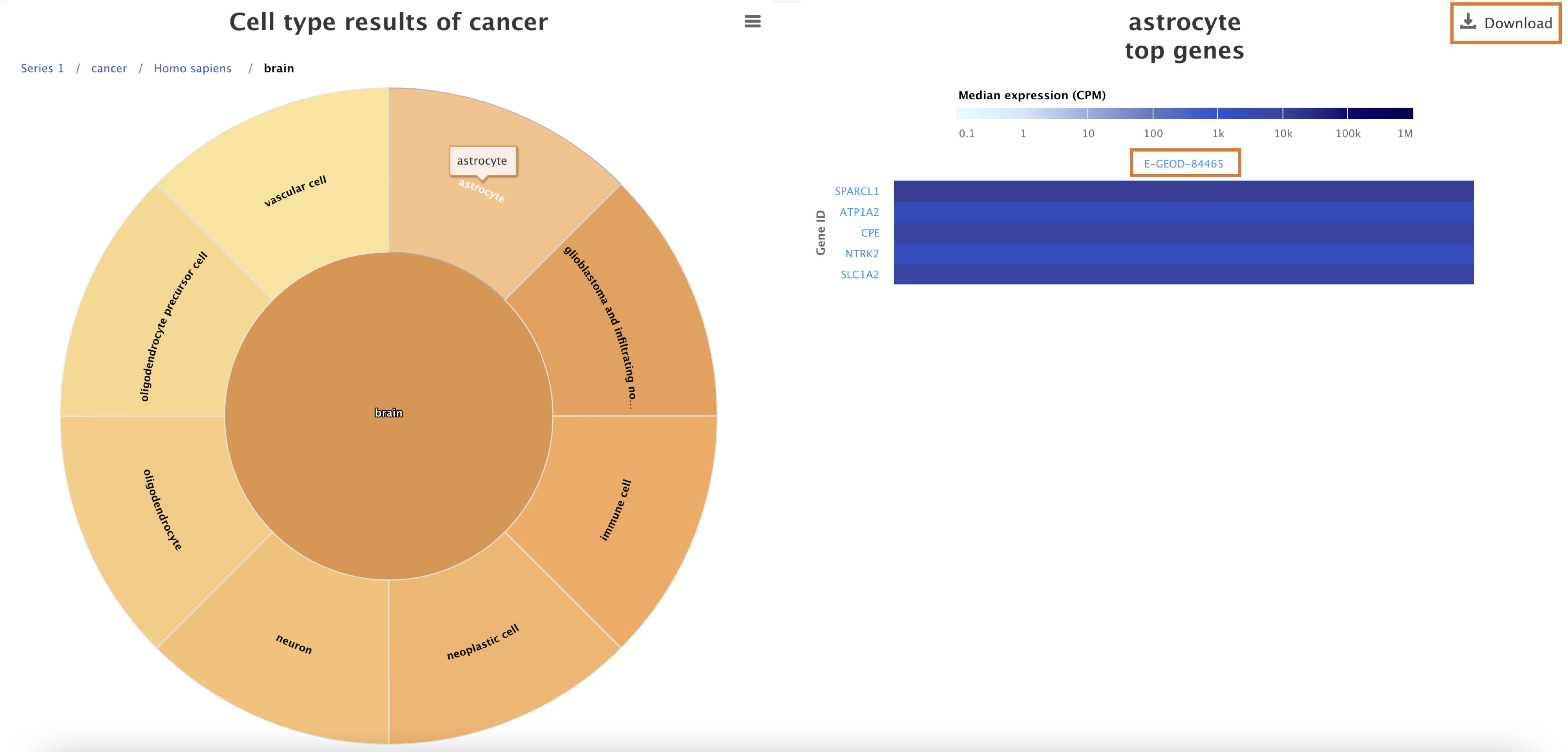 CTW_cancer_result_cell_type_heatmap