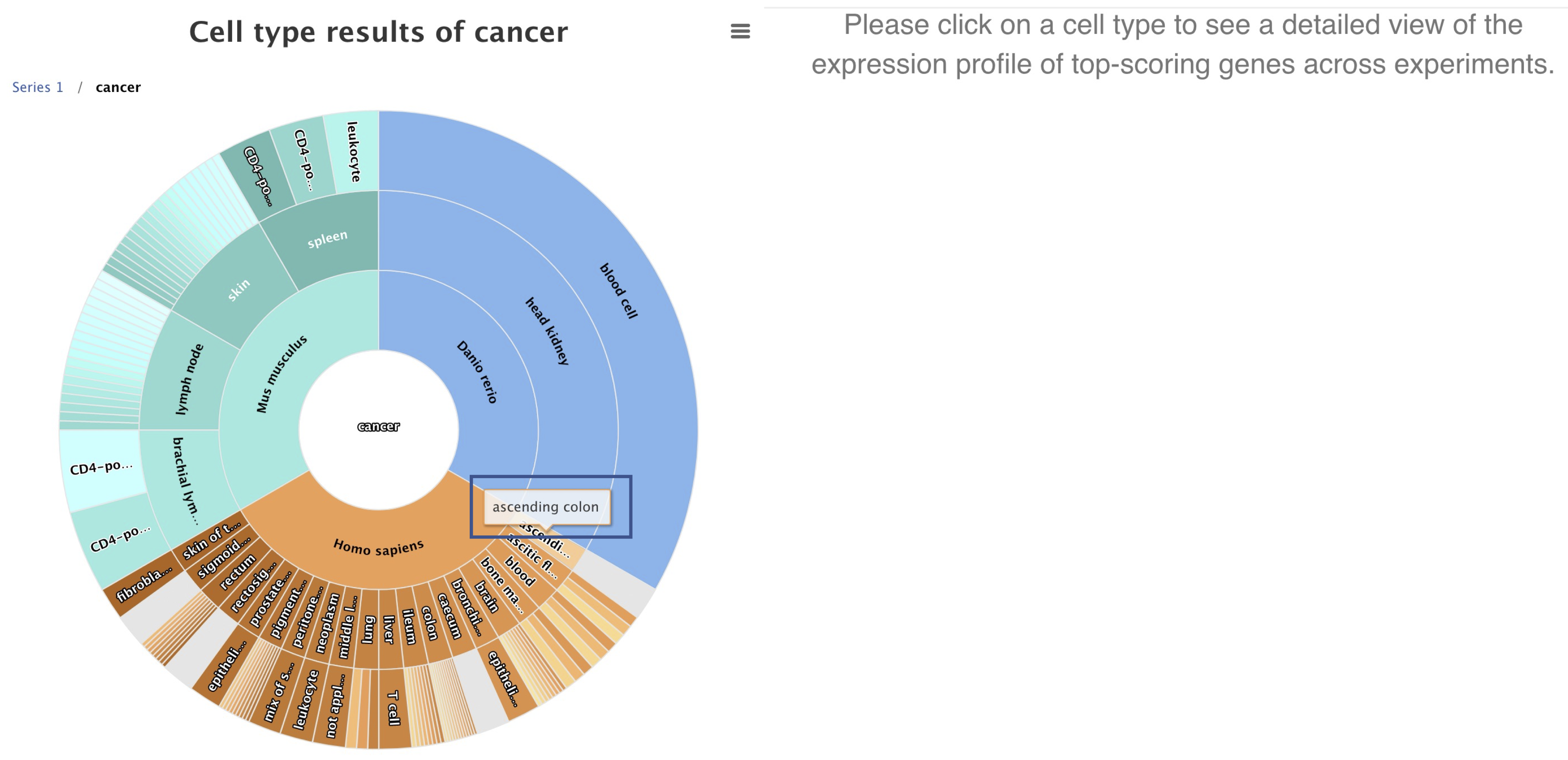 CTW_cancer_result_with_section_label