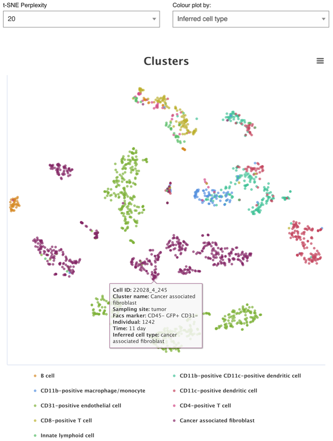 t-SNE plot