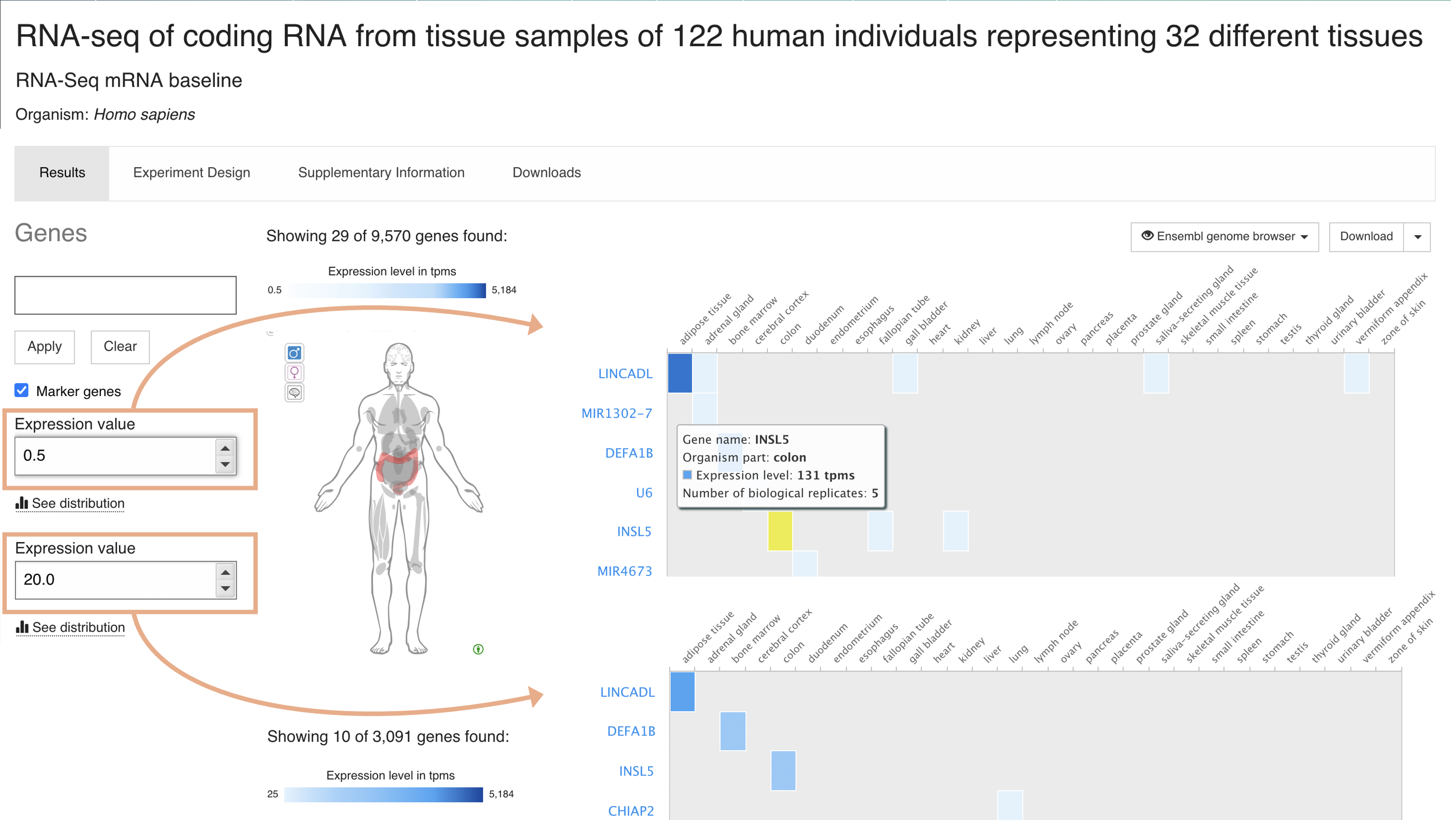 set minimum expression level